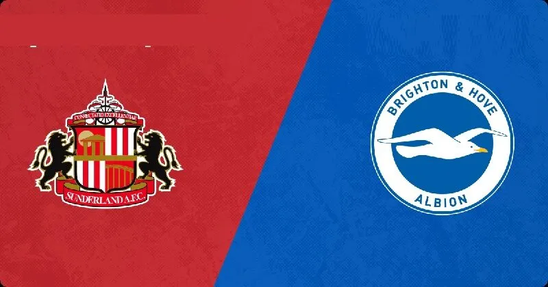 Brighton & Hove Albion và Sunderland sẽ có cuộc đối đầu trong ngày 20/12/2025