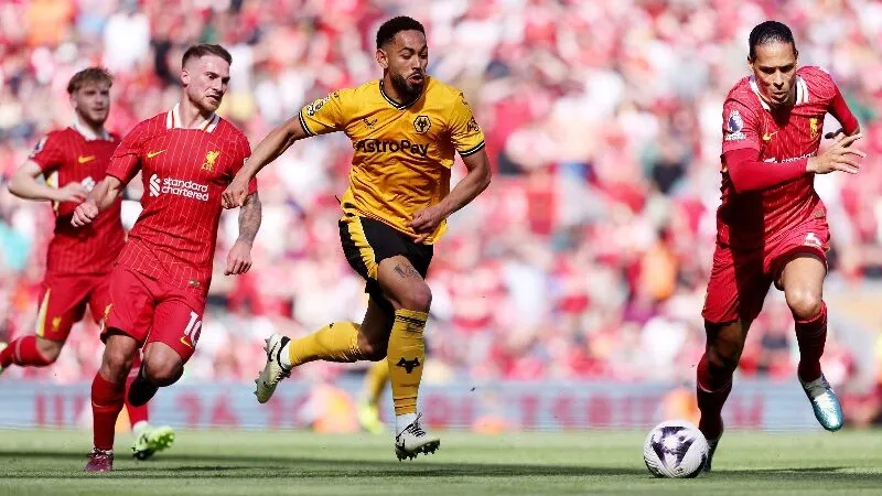 Phân tích phong độ Liverpool và Wolves trước giờ bóng lăn